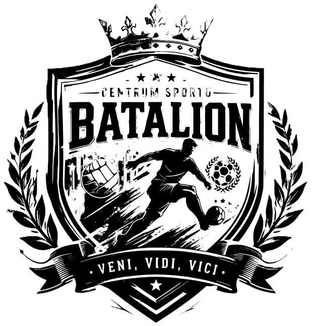 Logo partnera 1